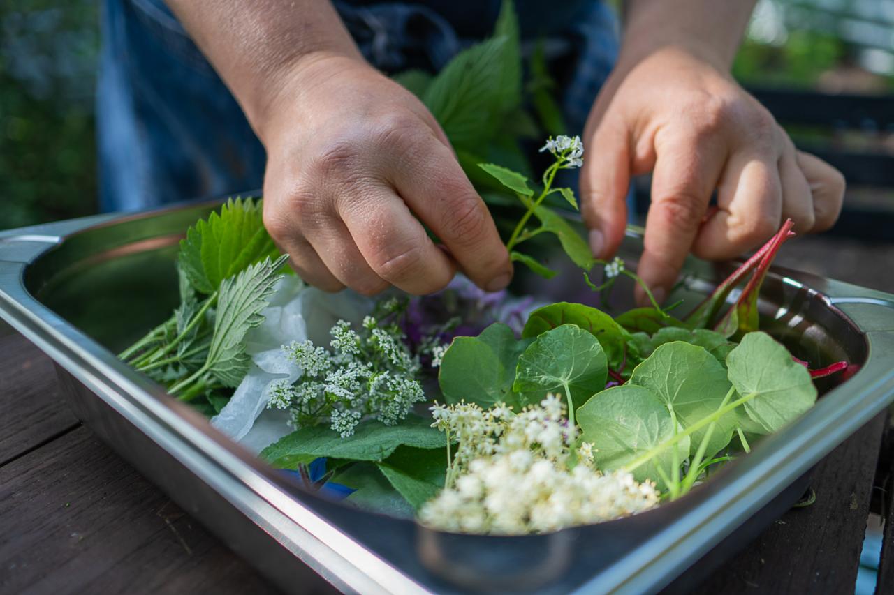 In the summer, wild herbs play a big part in Maria’s dishes.