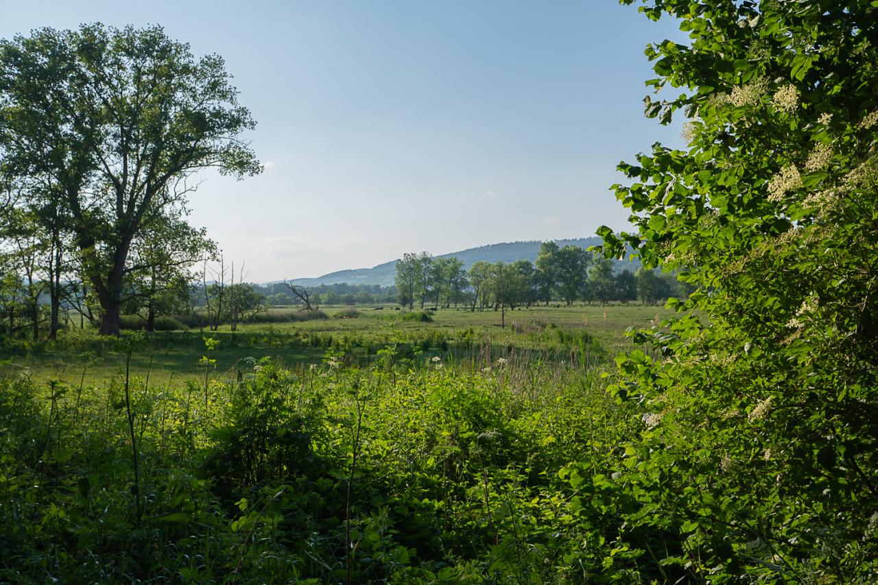 Ausblick auf den Werraradweg vom Biohotel Stiftsgut Wilhelmsglücksbrunn