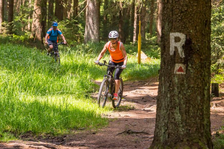 Mountainbiker auf dem Rennsteig-Radweg im Thüringer Wald